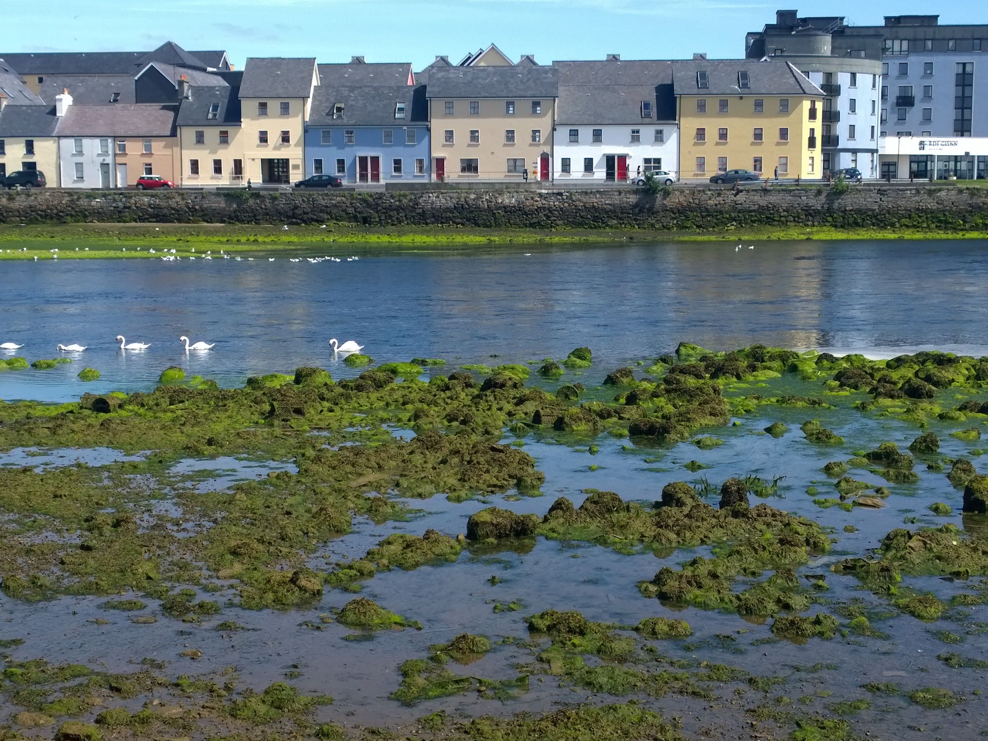 Galway Ireland
